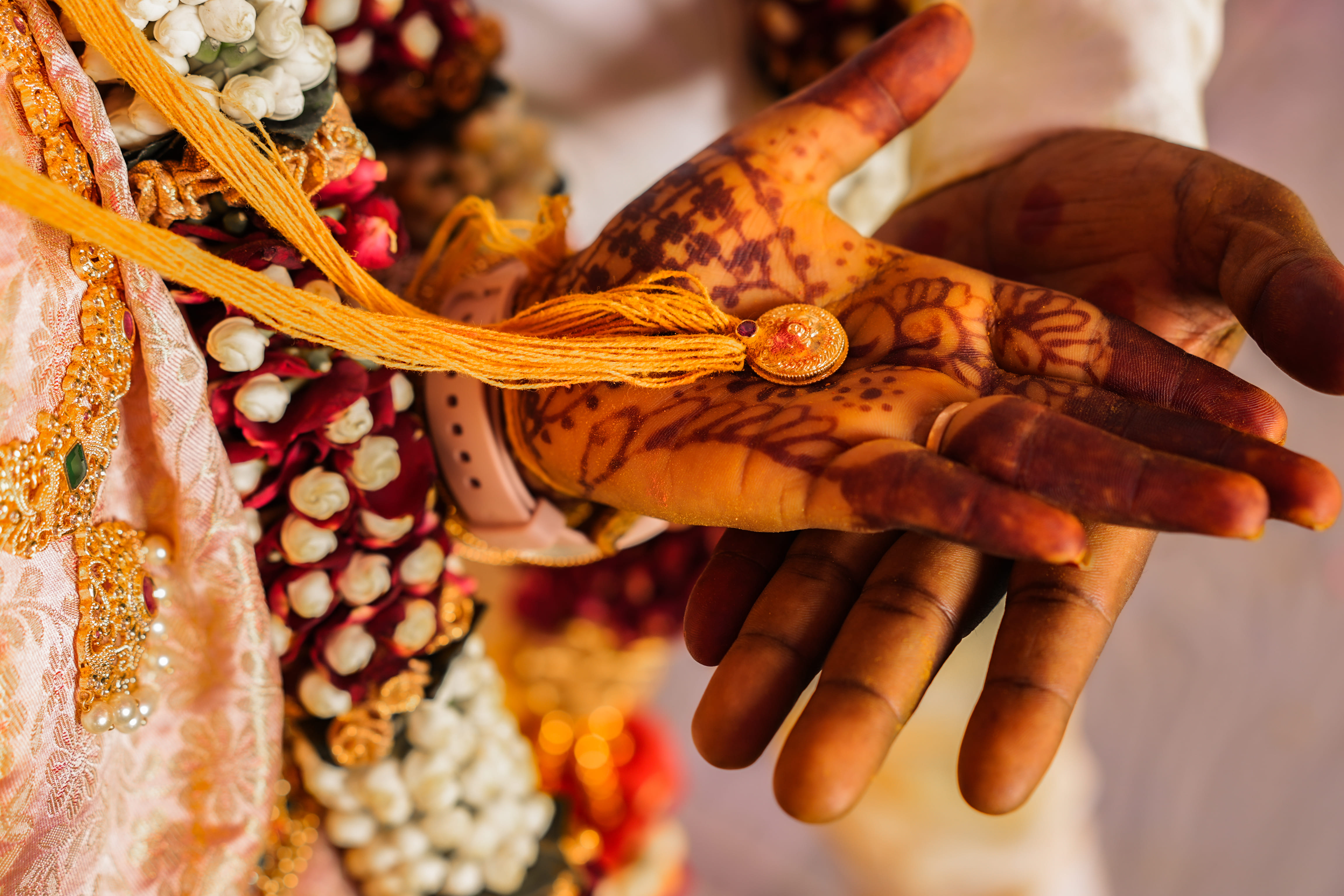 Professional Photography 2